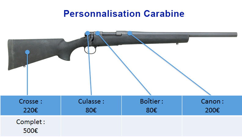 Tarifs personnalisation carabine peinture - site armurerie TPC