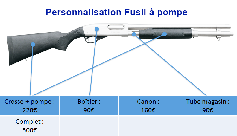 Tarifs personnalisation fusil a pompe peinture - site armurerie tpc